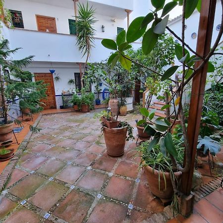 Apartamento De Estreno En Los Patios Tipicos De San Basilio Córdoba Buitenkant foto