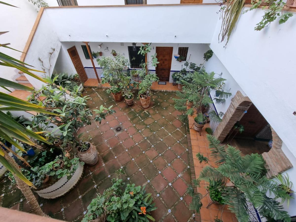 Apartamento De Estreno En Los Patios Tipicos De San Basilio Córdoba Buitenkant foto